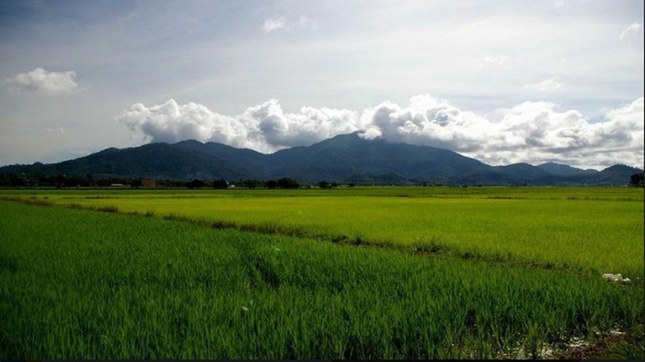 Barakah Homestay Alor Setar Luaran gambar